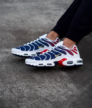 Nike Air Max PSG