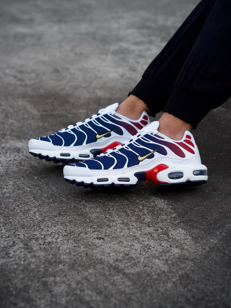 Nike Air Max PSG