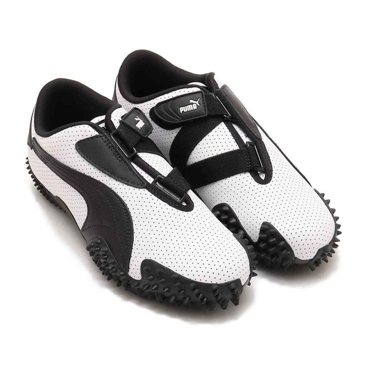 Mostro puma