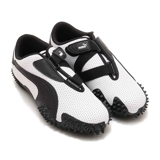 Mostro puma