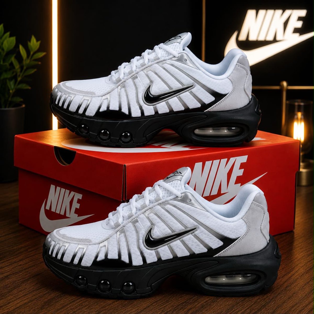 Chaussures Nike air