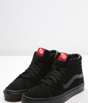 Chaussures vans Sk8