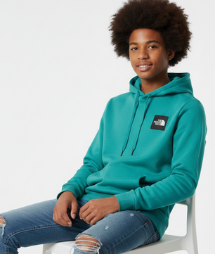 Pull bleu THE NORTH FACE