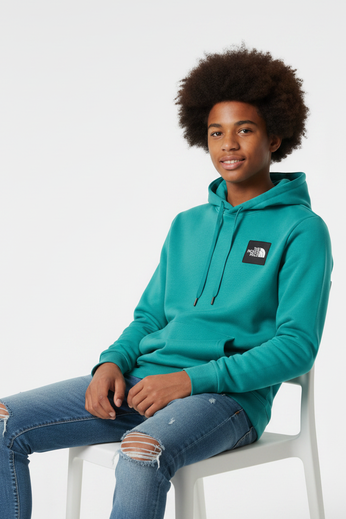 Pull bleu THE NORTH FACE