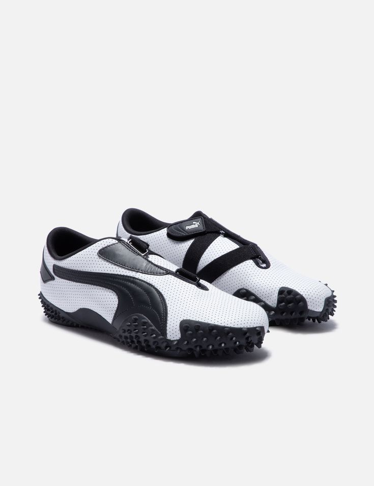 Mostro puma