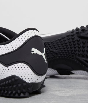 Mostro puma