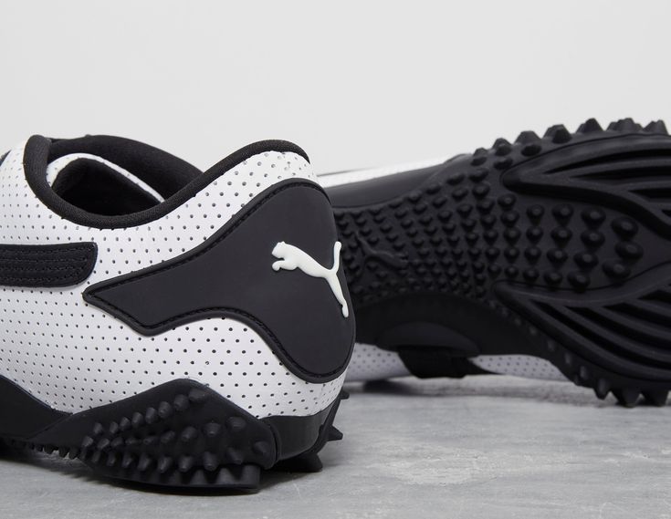 Mostro puma