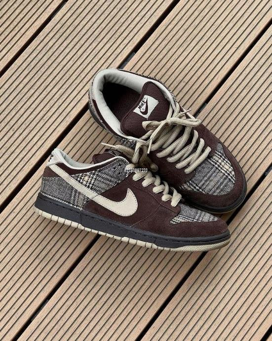 Nike Dunk pro SB