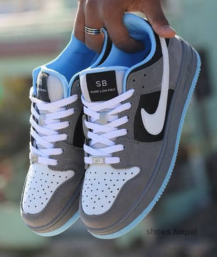 Nike dunk