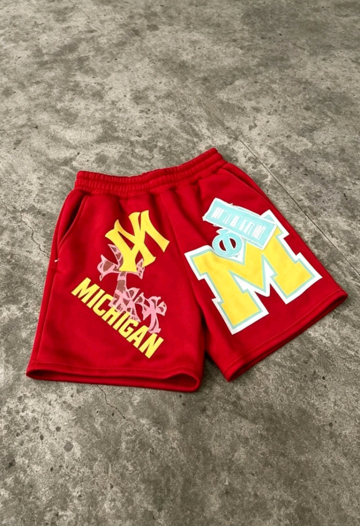 Short Michigan Logo