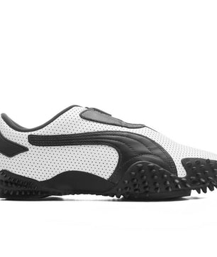 Mostro puma