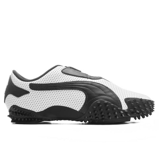 Mostro puma