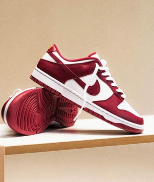 Chaussures Nike dunk rouge