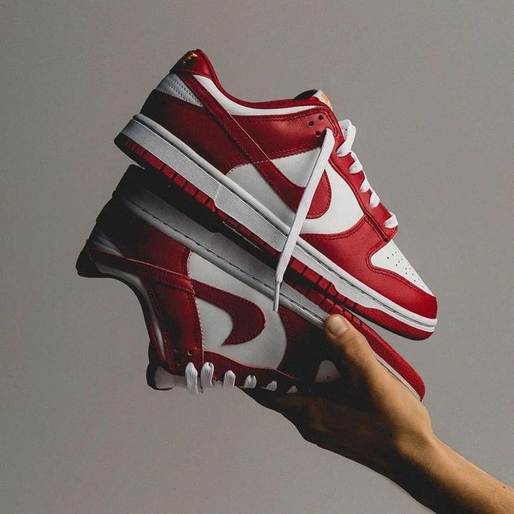 Chaussures Nike dunk rouge