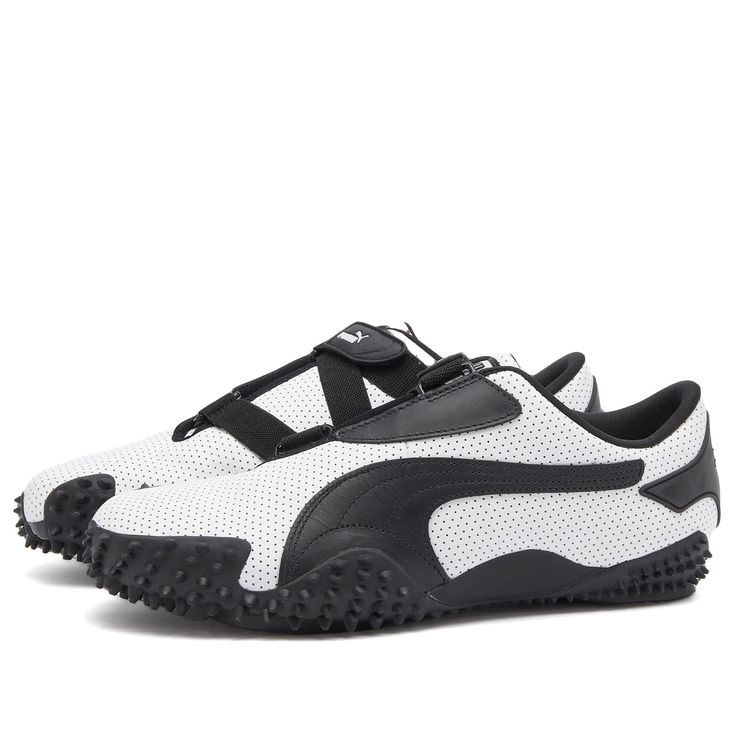 Mostro puma