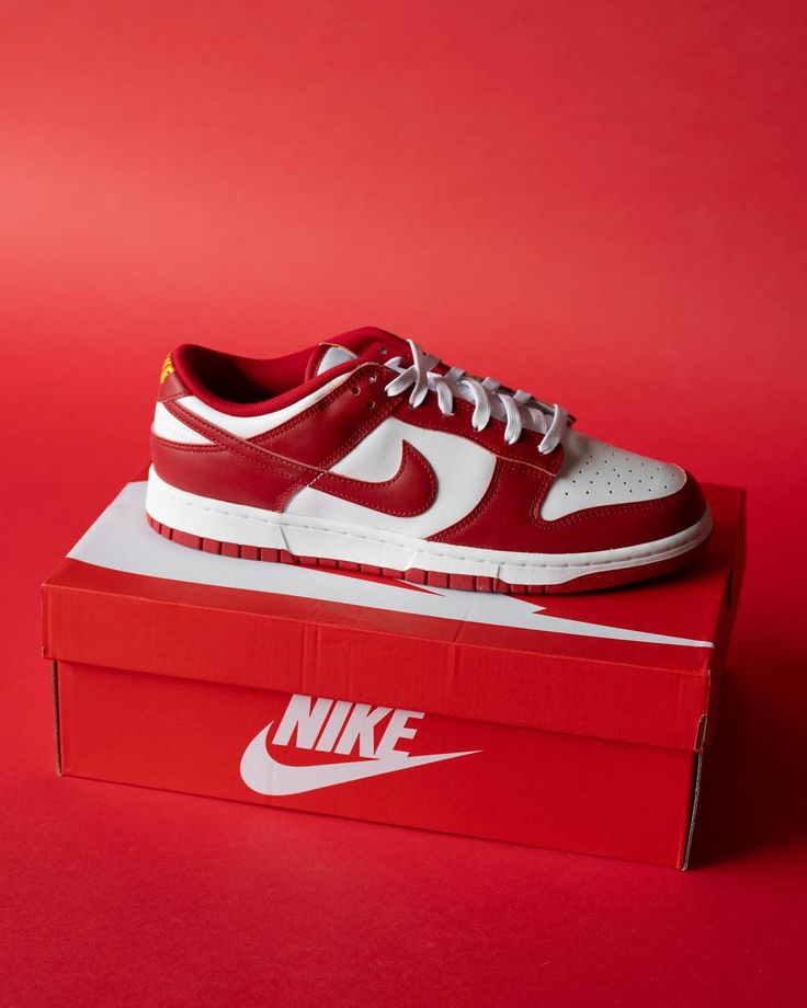 Chaussures Nike dunk rouge