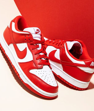 Chaussures Nike dunk rouge