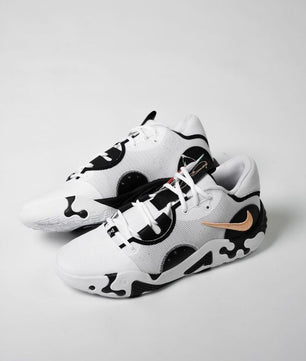 NIKE PG6 X