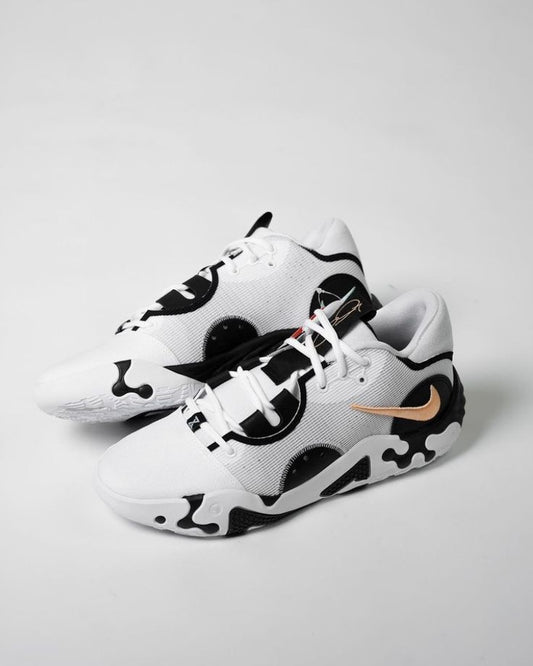NIKE PG6 X