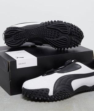 Mostro puma