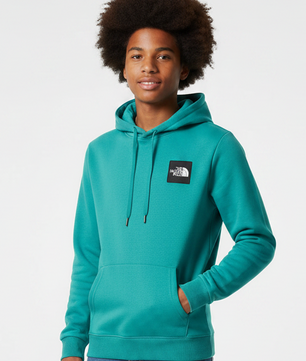 Pull bleu THE NORTH FACE