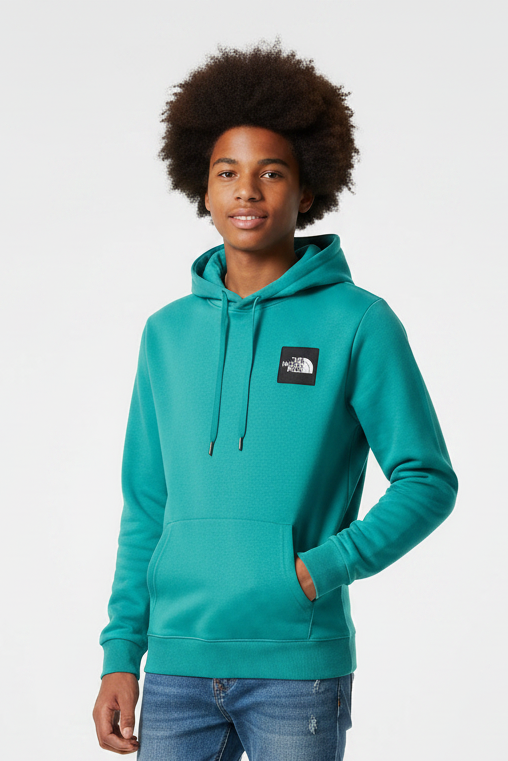 Pull bleu THE NORTH FACE