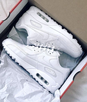 Nike air max 90